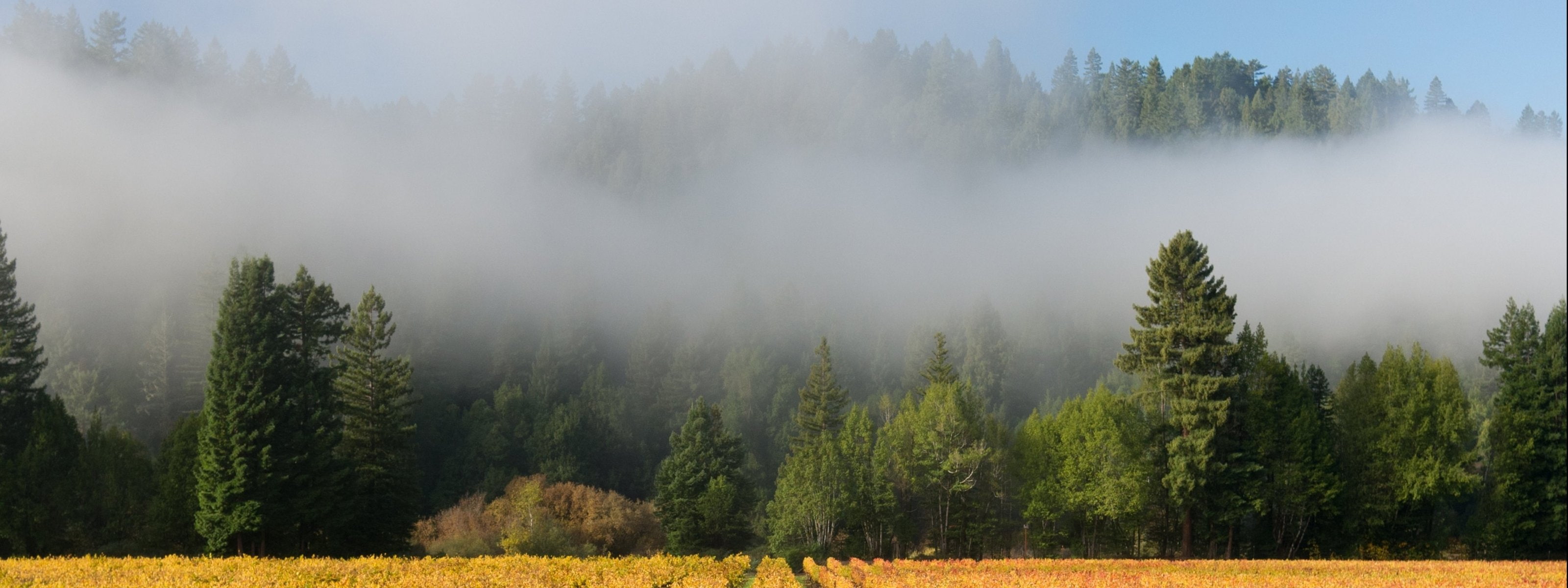 dual monitor multi screen widescreen dualmonitor dualscreen 2k