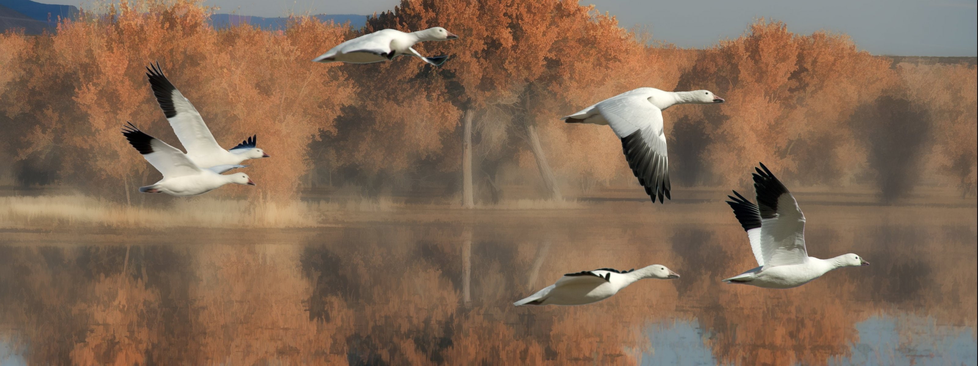 px dual monitor multi screen widescreen dualmonitor dualscreen 2k