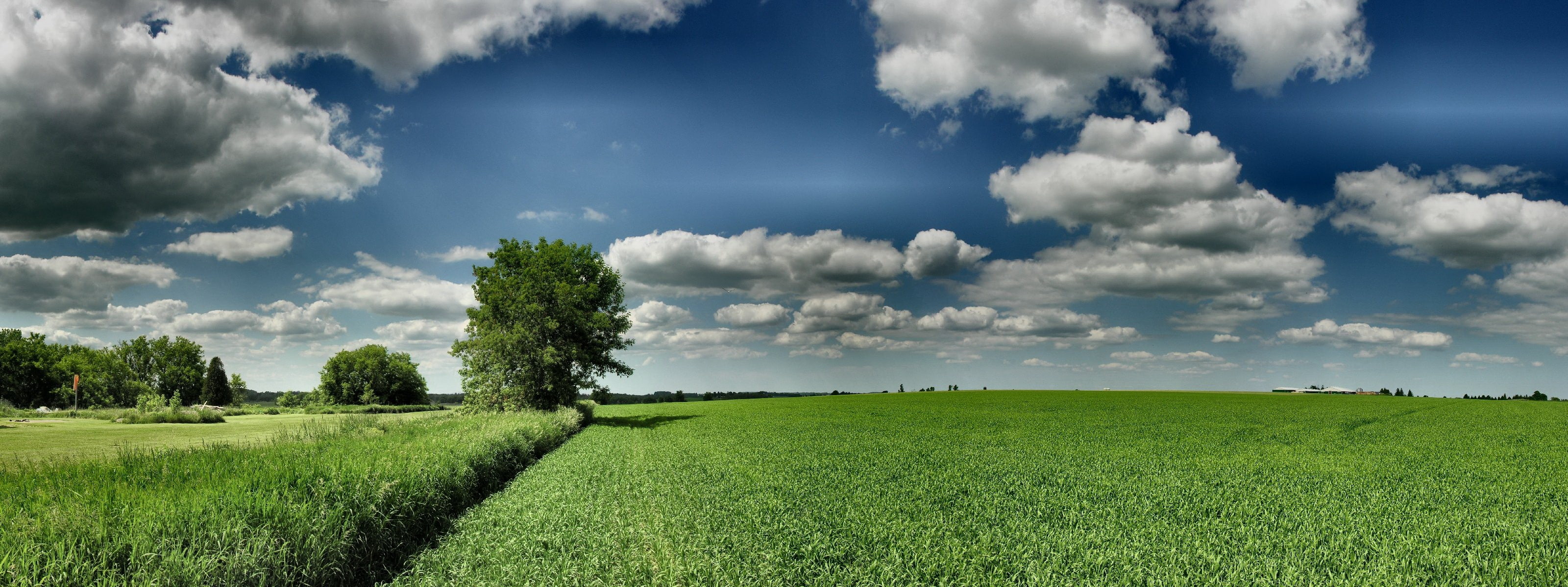 clouds dual screen panoramic field Nature Fields HD Art grass widescreen dualmonitor dualscreen 2k