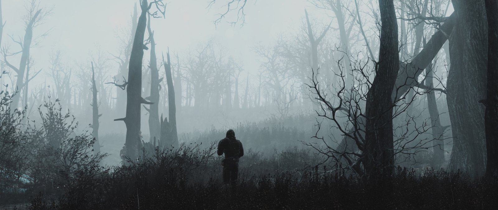 Dual Monitors video games tree plant forest fog widescreen dualmonitor dualscreen 2k 4k 5k