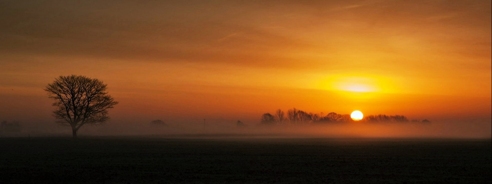 dual screen late backgrounds desktop tree sky sunset environment widescreen dualmonitor dualscreen 2k