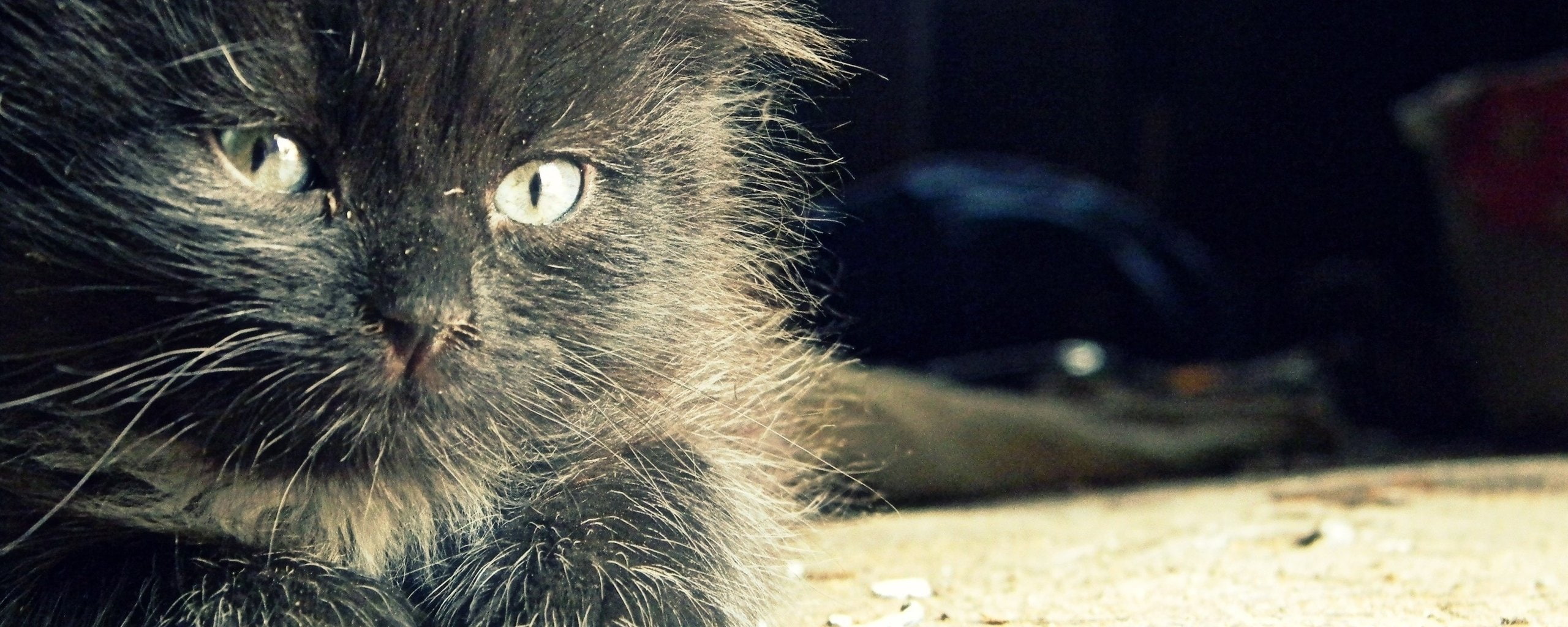 dual monitor multi screen widescreen dualmonitor dualscreen 2k