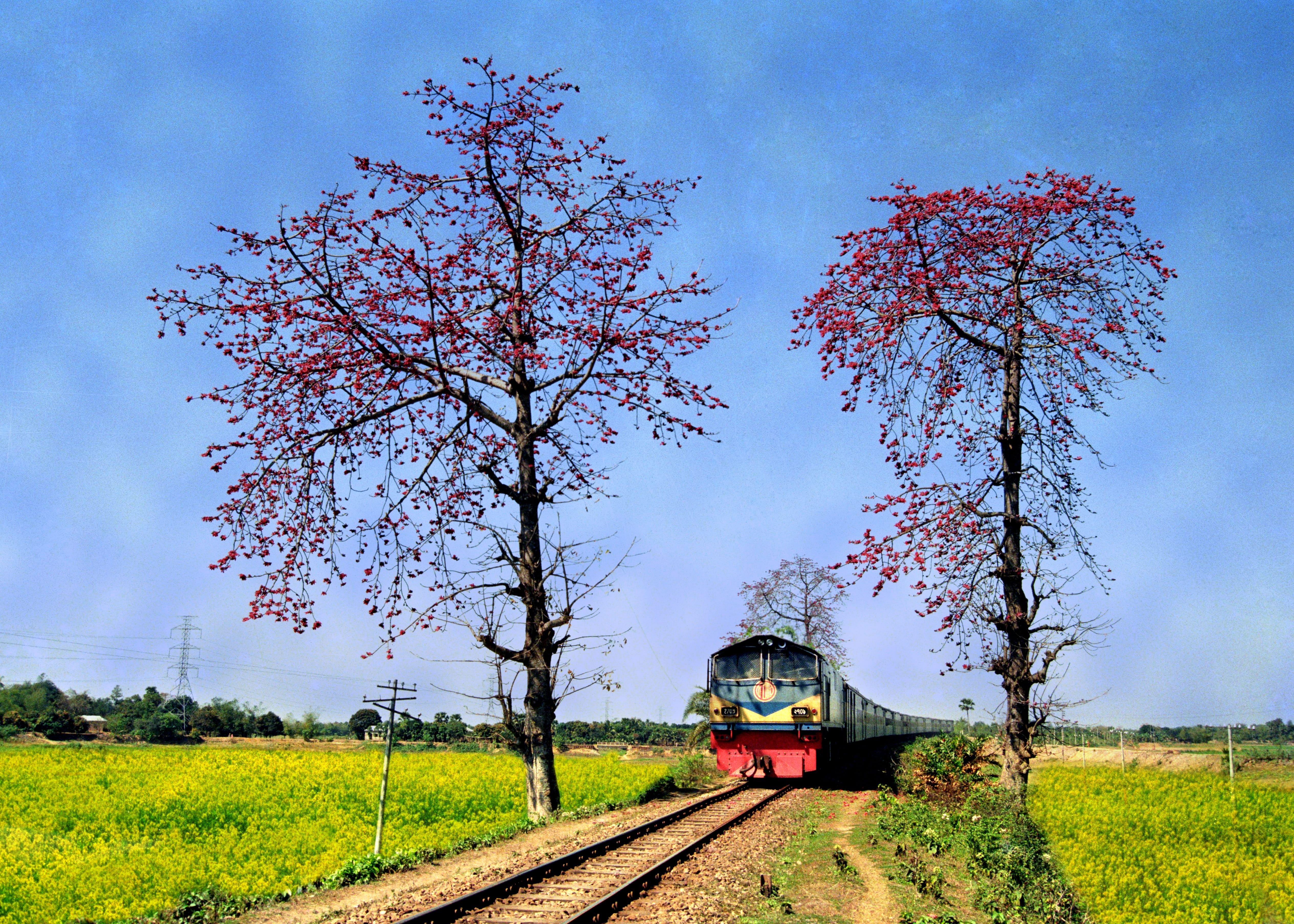 bangladesh train landscape plant tree mode of transportation 2k 4k 5k