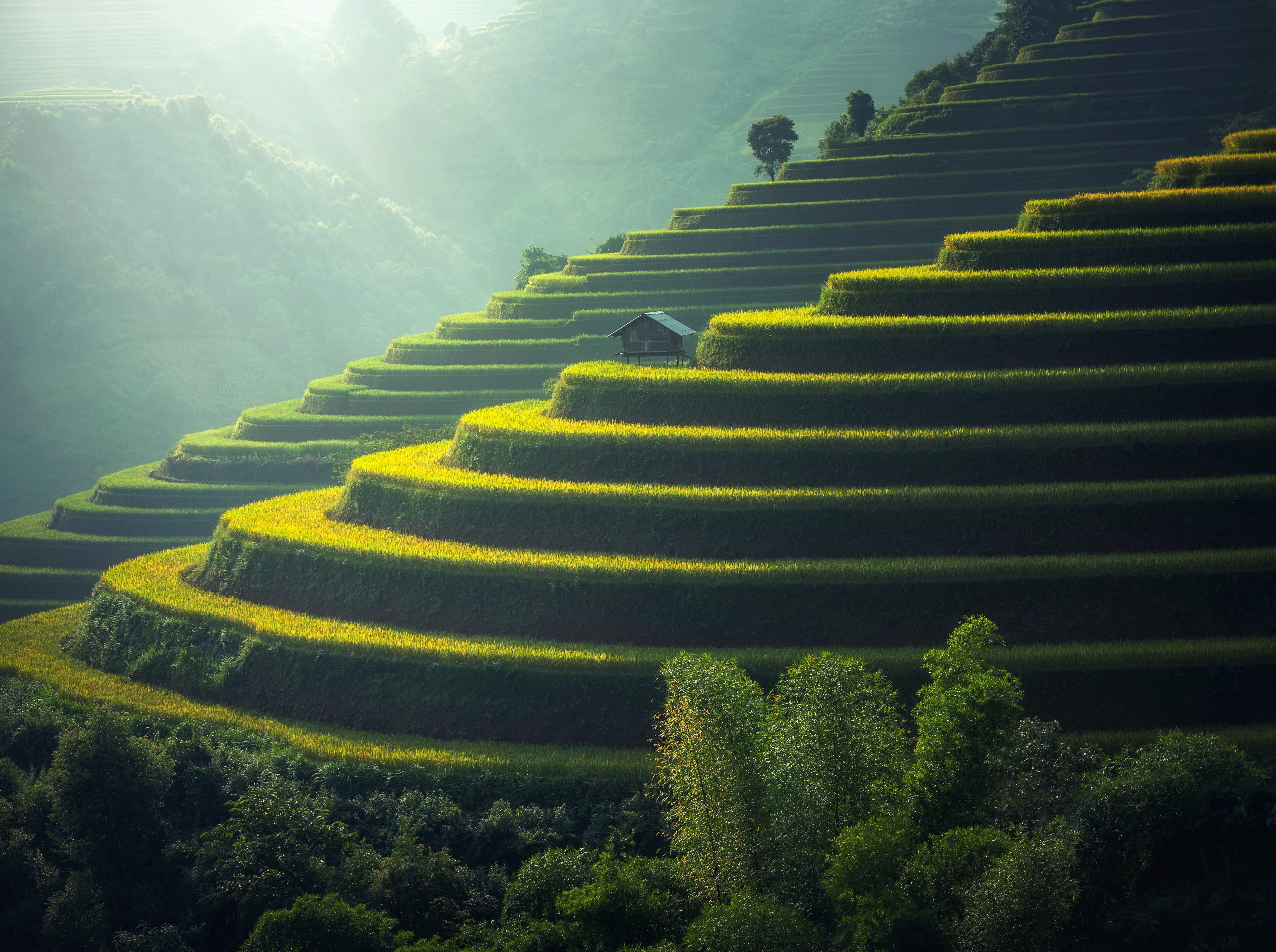 Beautiful Asian Landscape rice terraces Thailand Travel Nature 2k 4k 5k