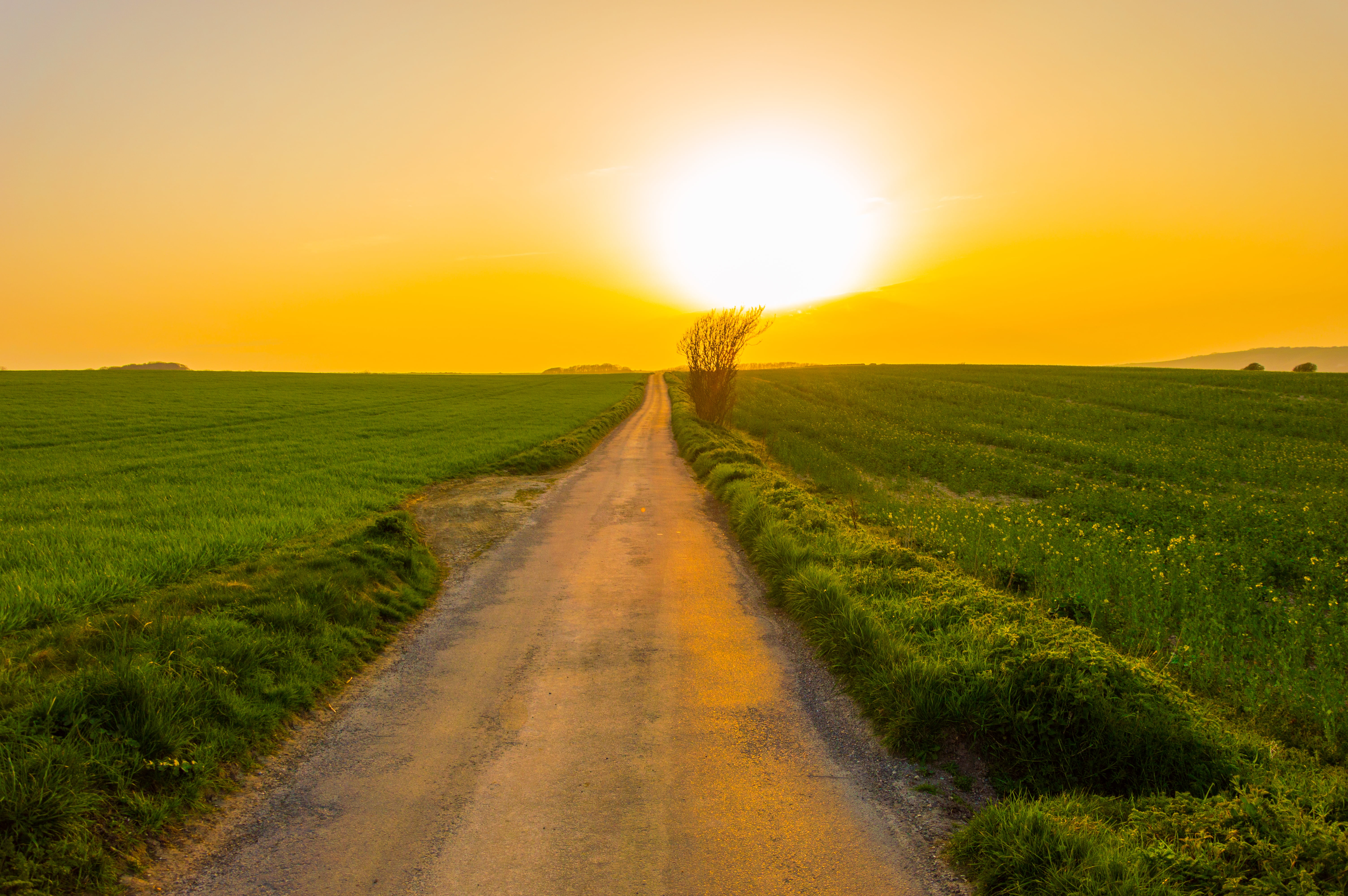 photo of cleared road near green grass field during daytime kingston dorset 2k 4k 5k