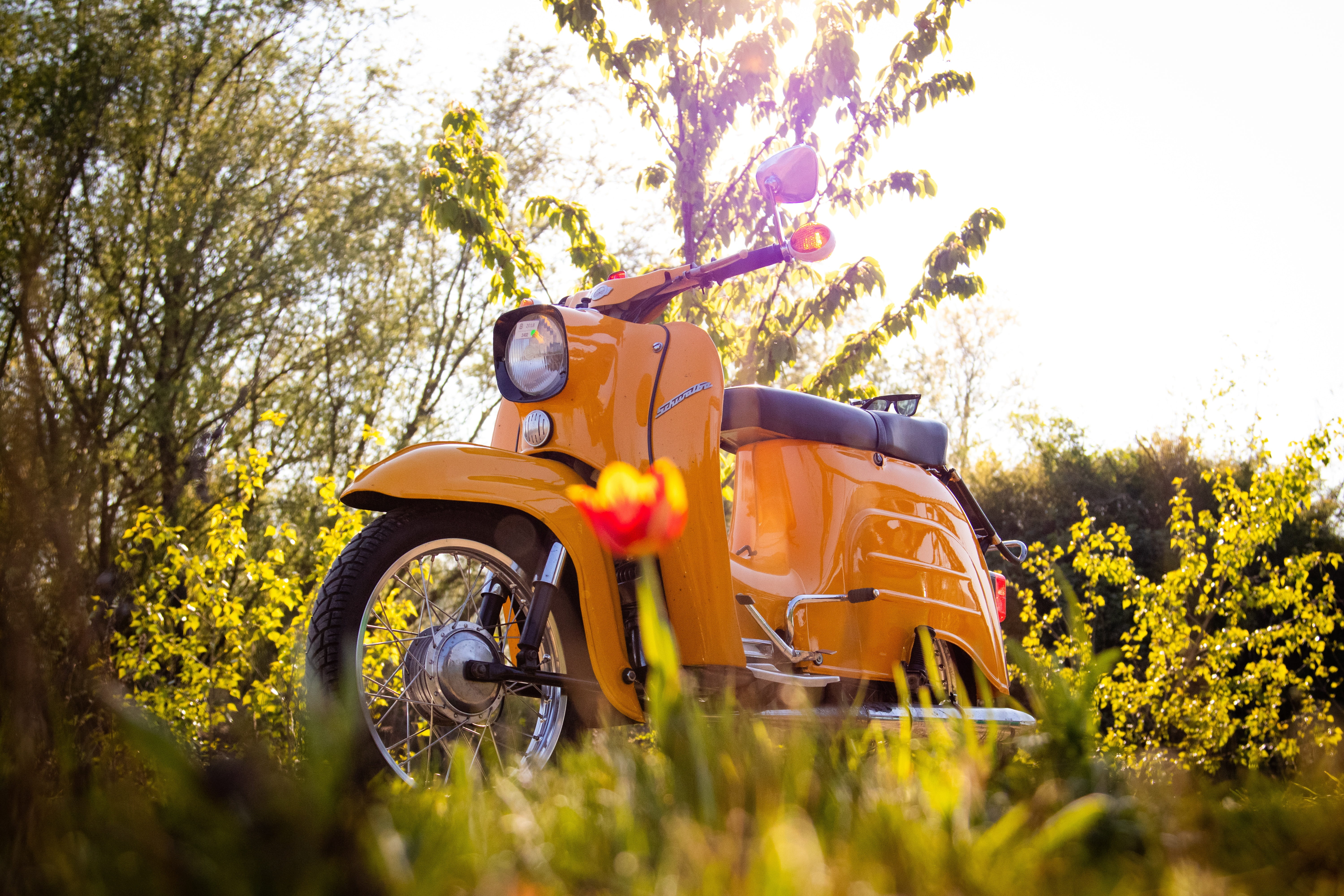 simson schwalbe ddr meadow field summer scenic flower 2k 4k 5k