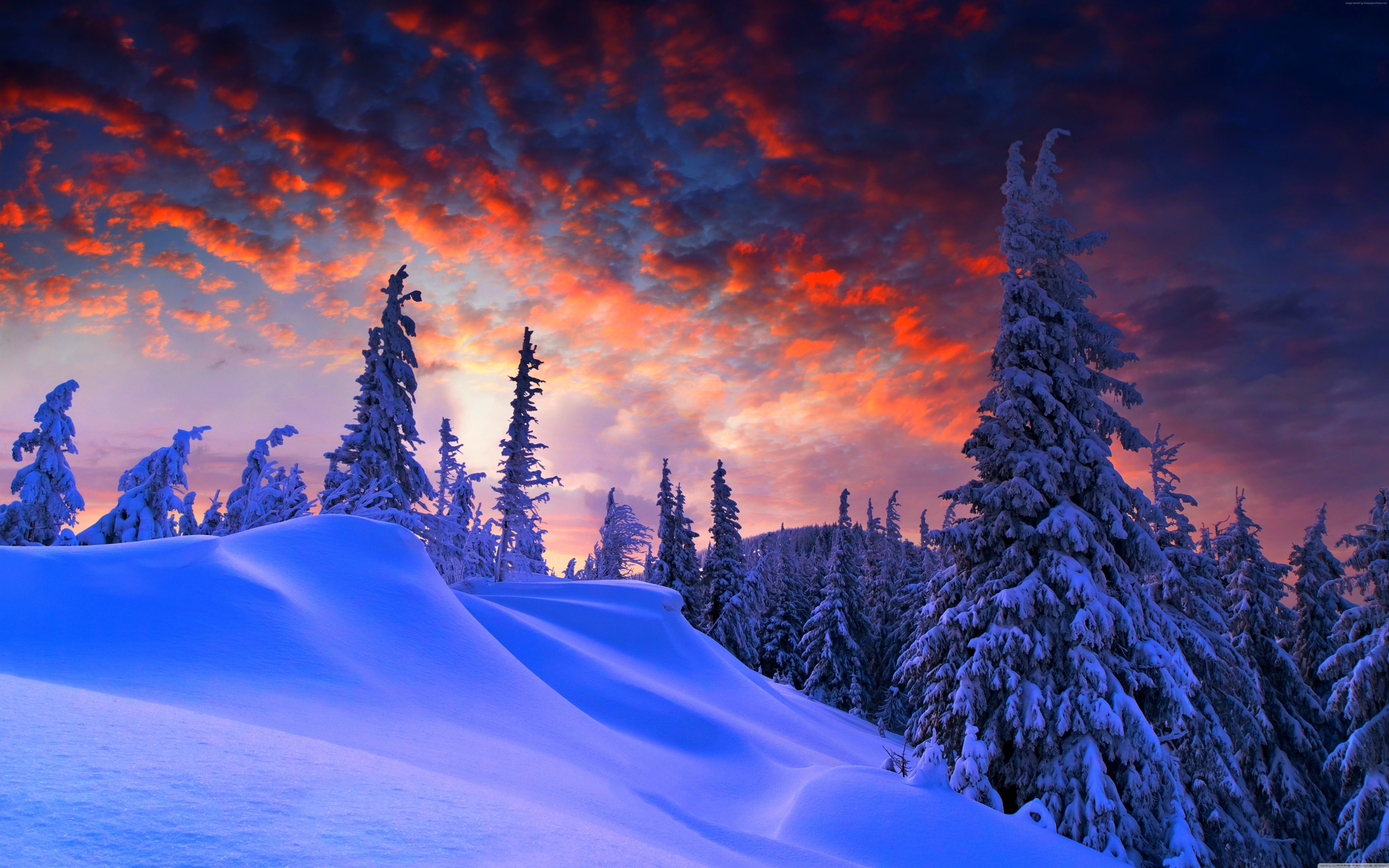 sunrise clouds winter snow forest 2k 4k 5k 8k