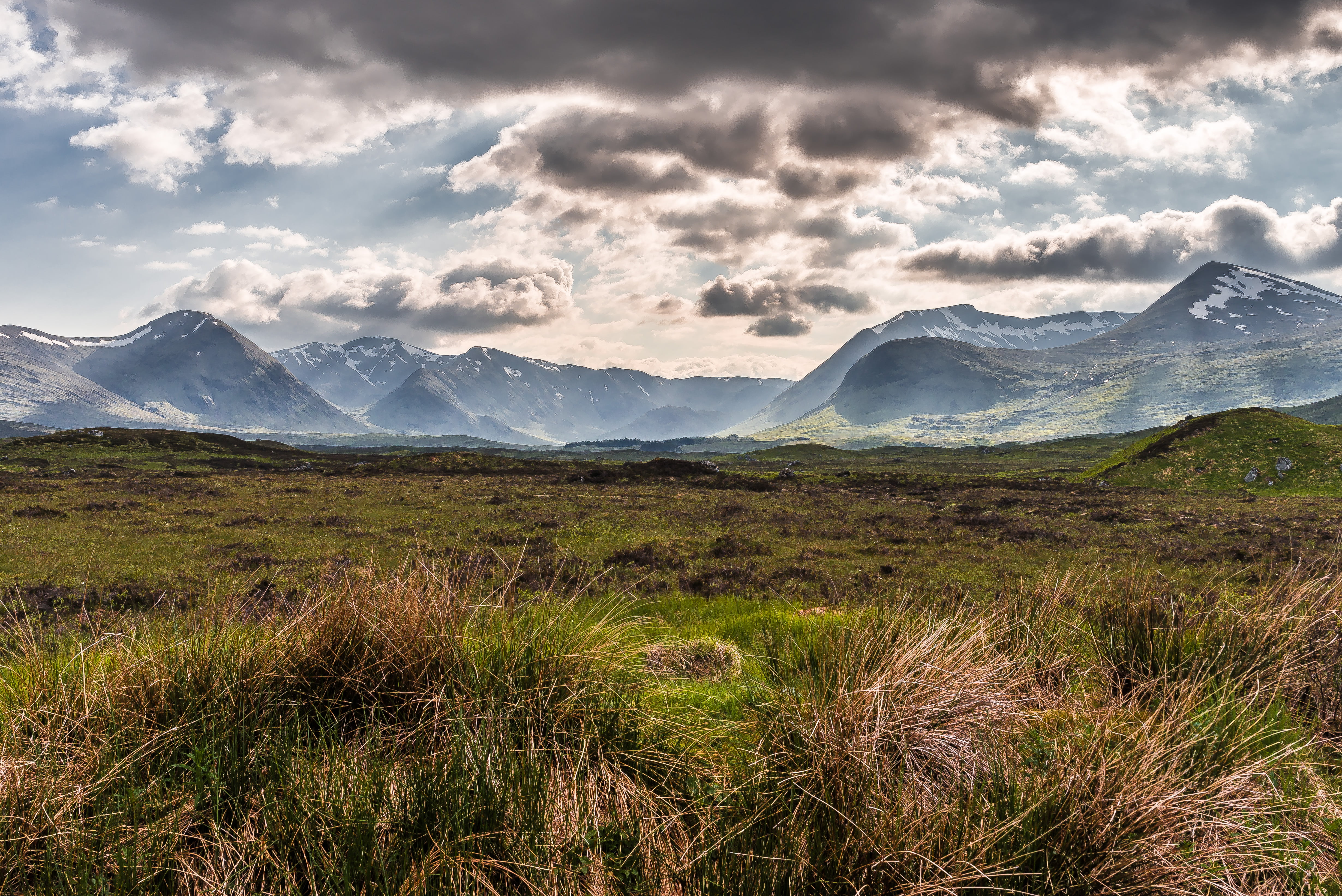 green grass field under gray sky during daytime Rannoch Moor 2k 4k 5k