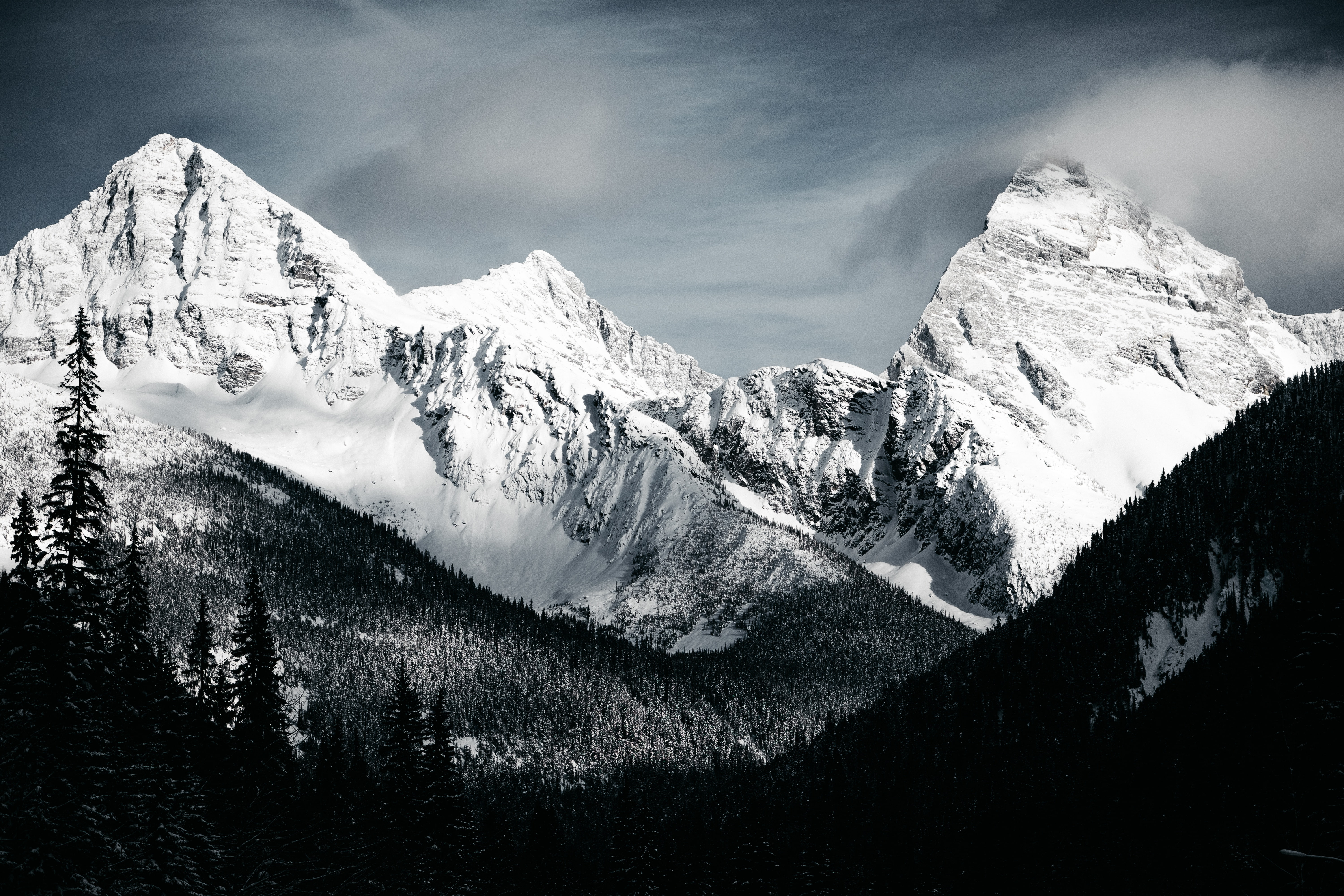 Mountains Black and White Forest Nature Peak Snow 2k 4k 5k