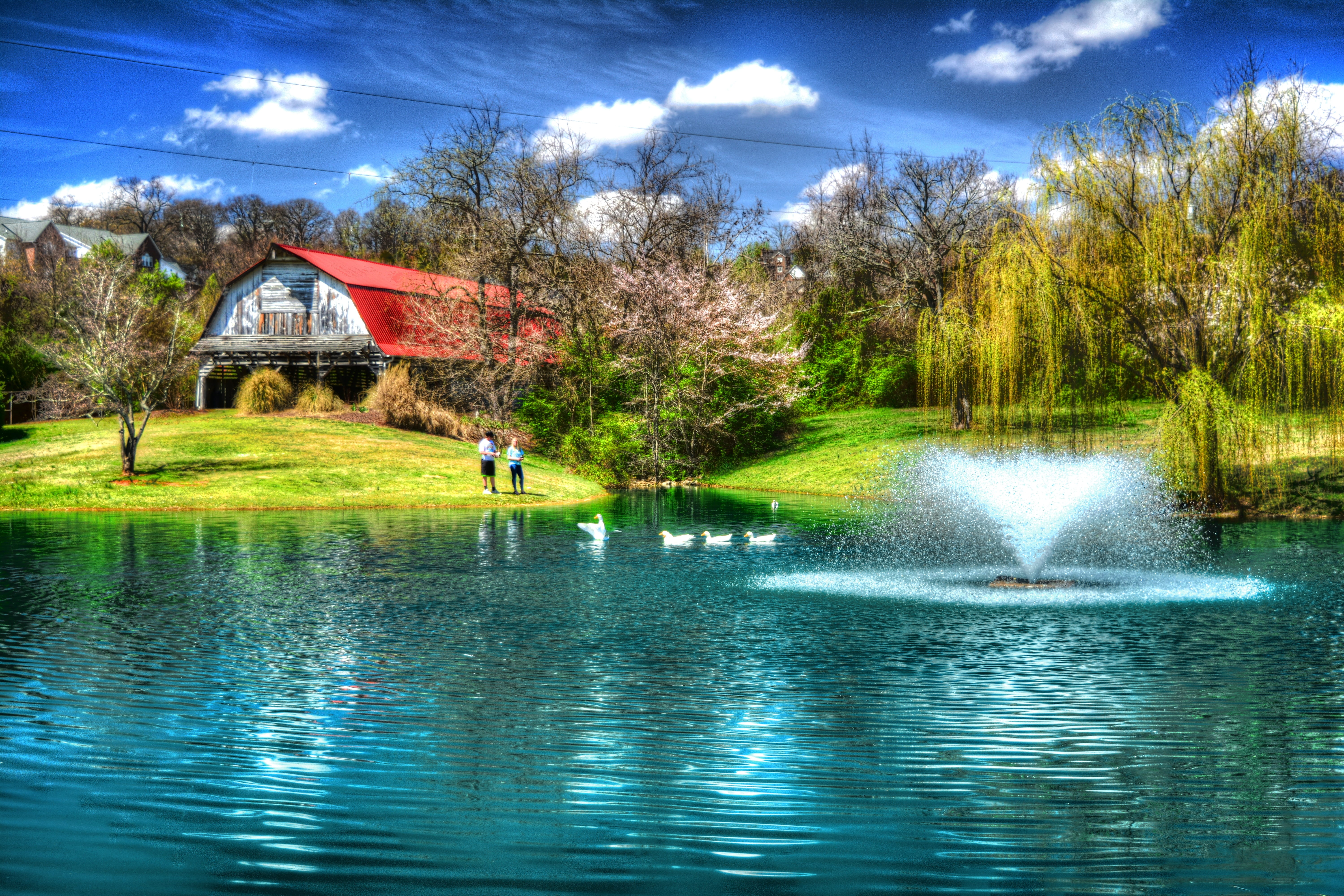 red and white wooden house near river trees during daytime painting 2k 4k 5k