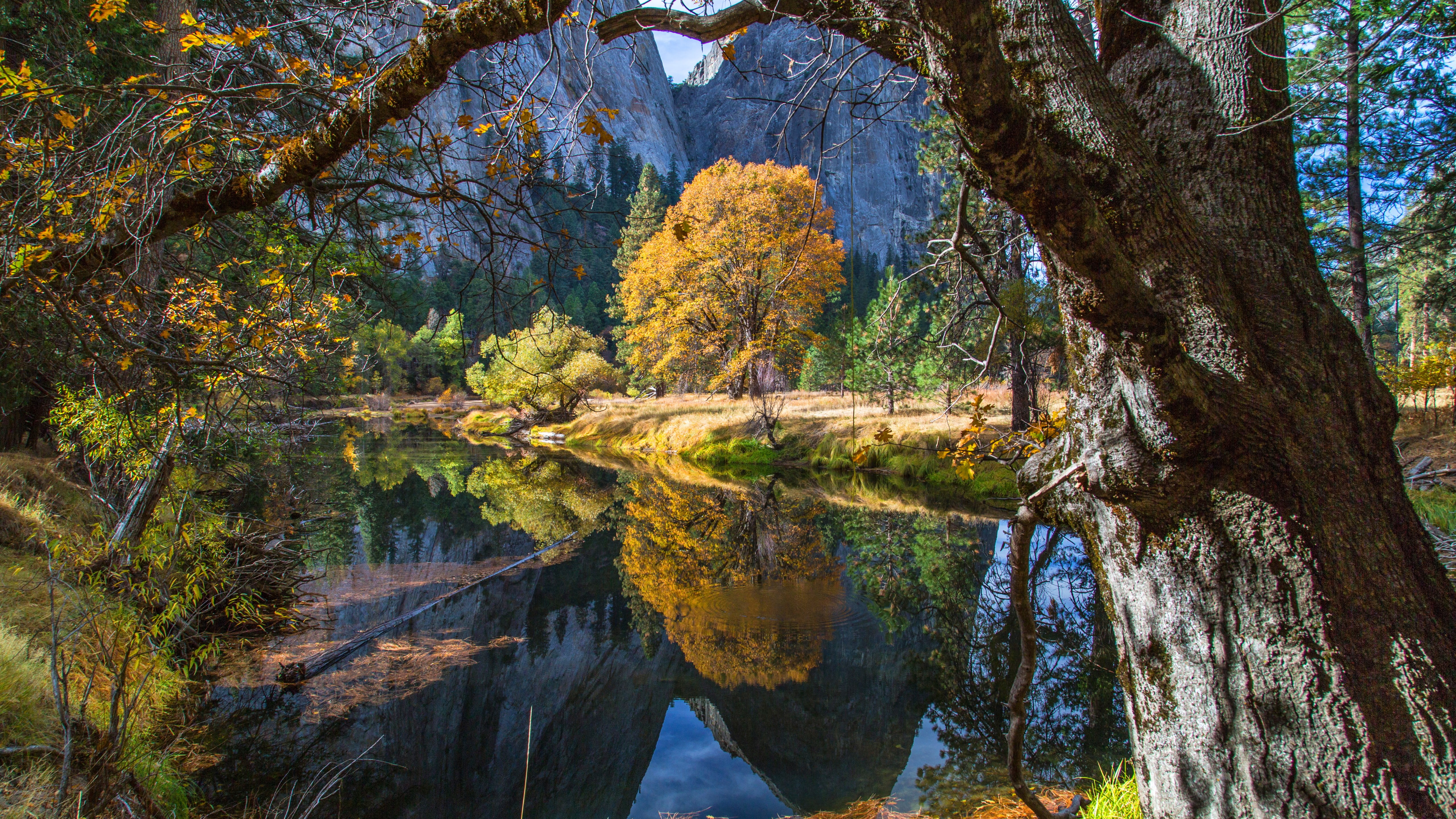 Yosemite wallpaper forest OSX apple mountains 2k 4k 5k
