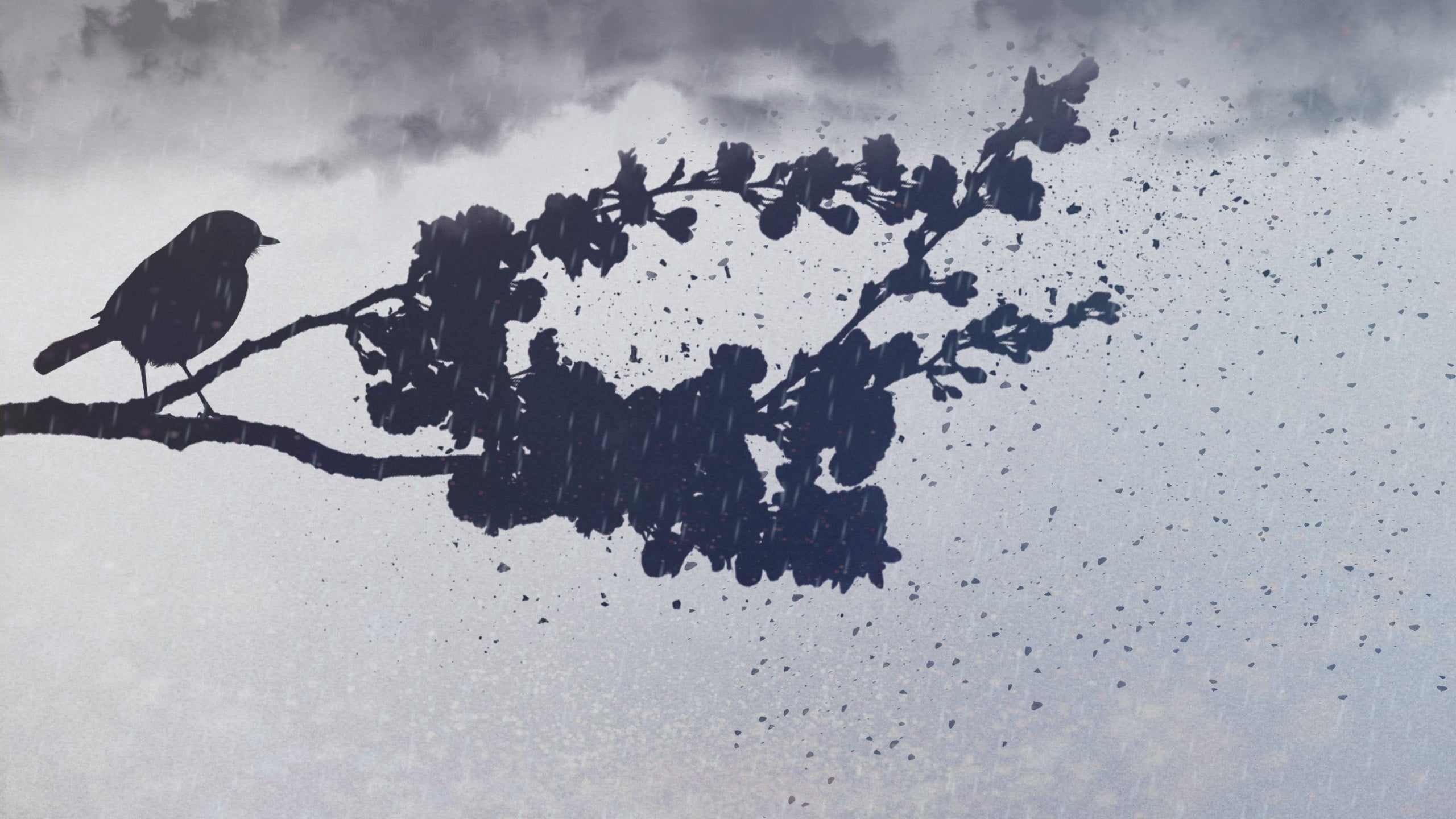 Art. Bird on a rainy evening 2k