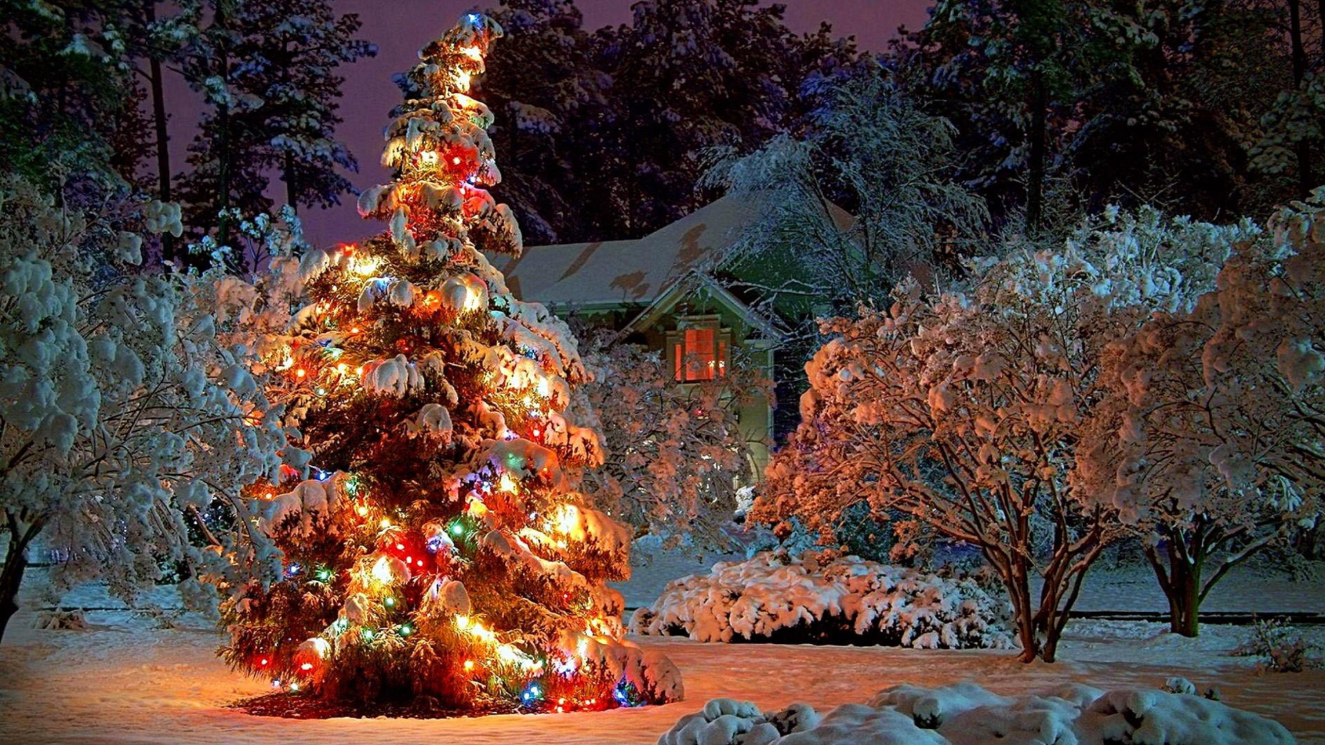snow christmas day eve snowy night lights 68 2k