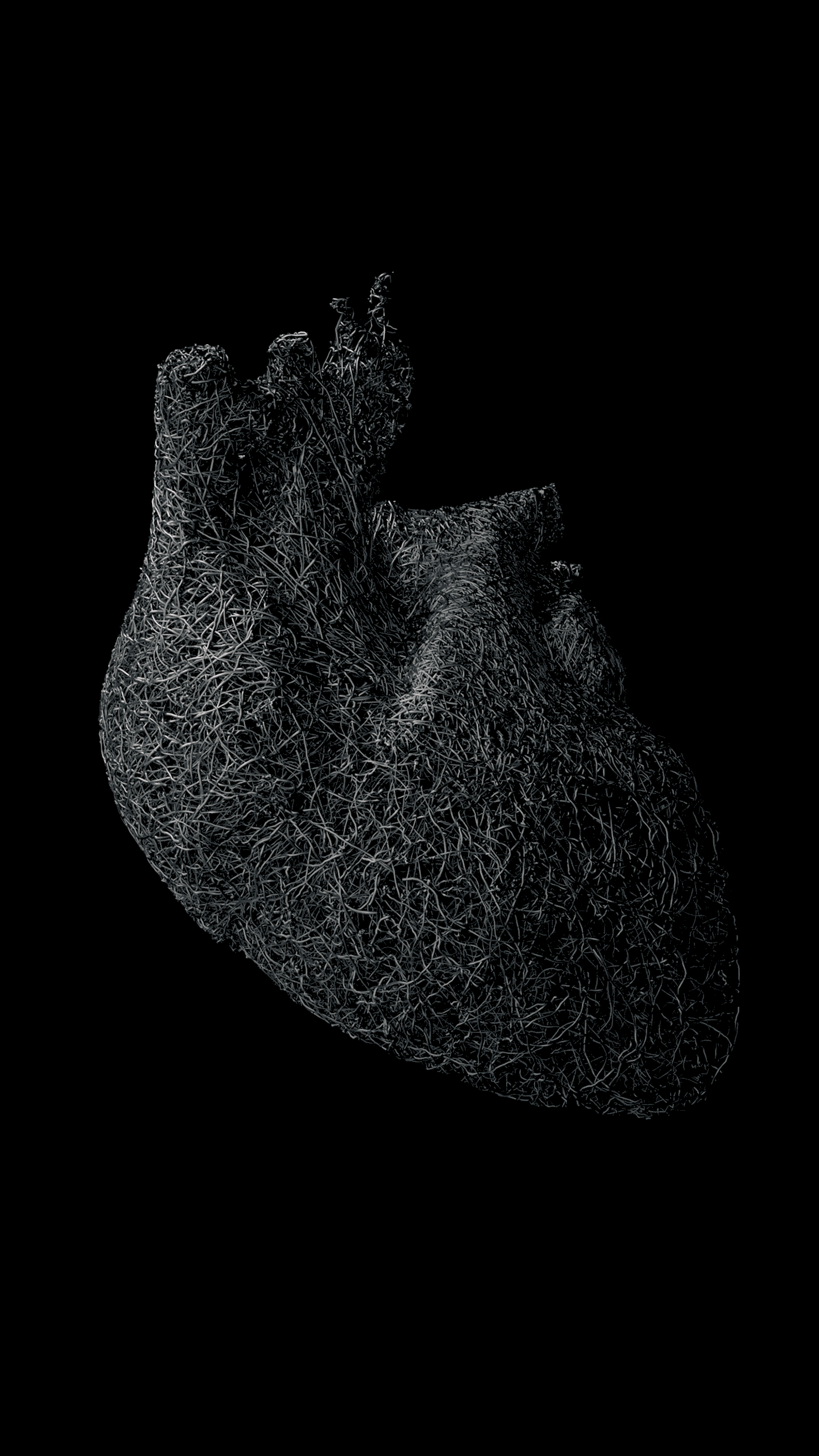 Heart